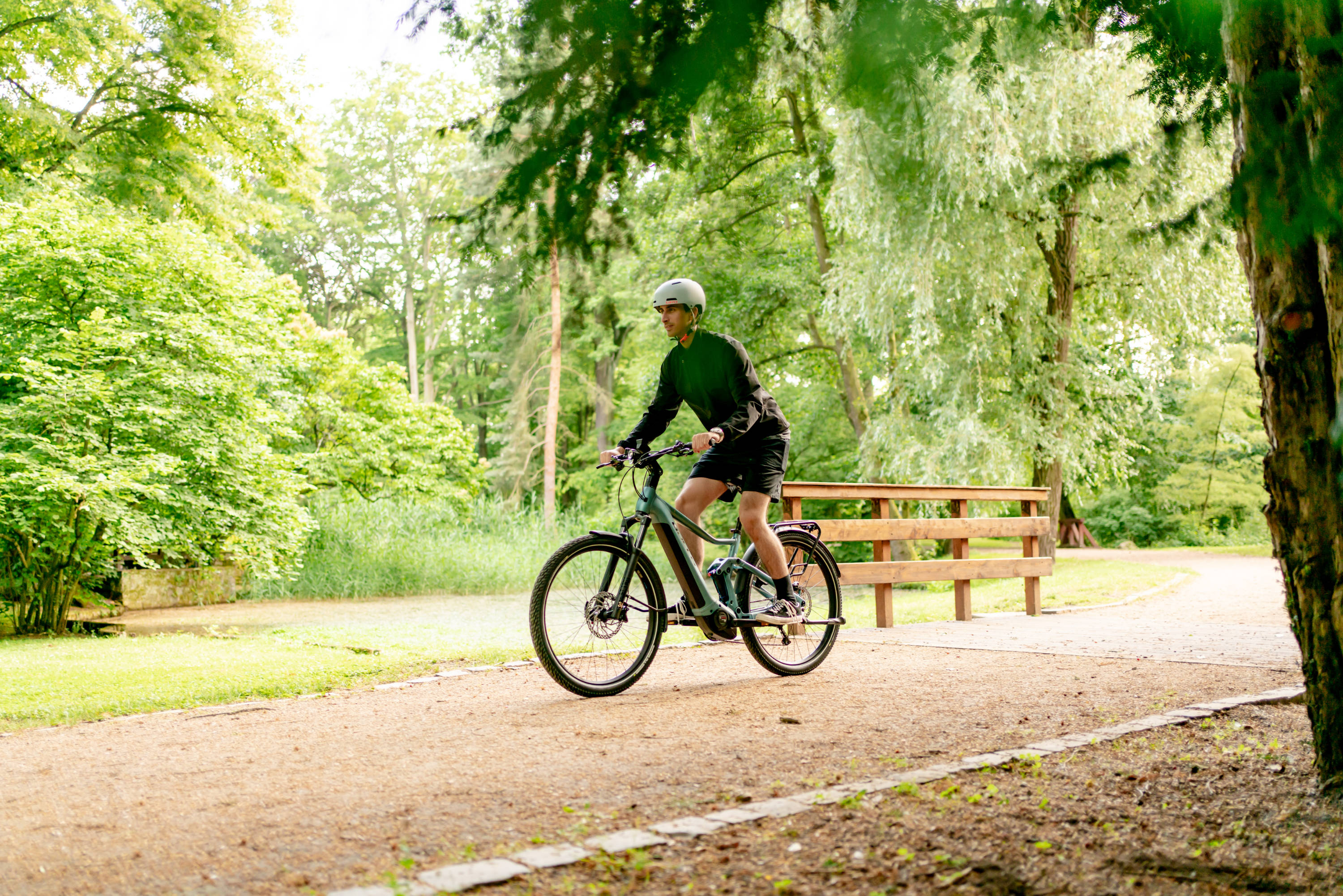 ebike_BULLS Iconic Evo